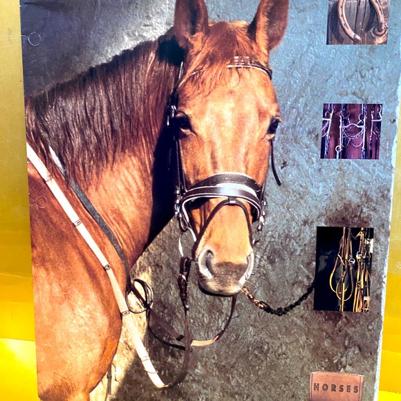 HORSES VINTAGE 90’s PORTFOLIO 3 RING BINDER FOLDERS BUNDLE OF 3 GREAT FOR SCHOOL - Picture 7 of 13